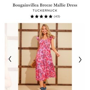 NWT Mallie Dress in Bougainvillea Breeze, Size Medium